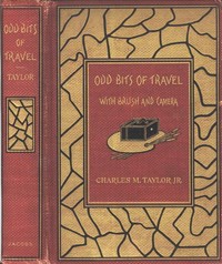 Cover of Odd Bits of Travel with Brush an...